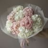 Bouquet of white and pink Hydranger.

Standard size - 9 hydranger
Deluxe size -