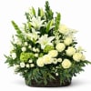 A gorgeous array of green and white blooms, this large sympathy basket