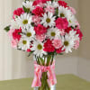 An Assortment of Daisies, Carnations, and Mini Carnations.