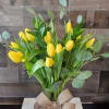 Let the sweet melody of Stacie's Tulip Serenade fill your heart with