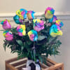 Available for Valentine's Day ONLY Dozen Rainbow Roses