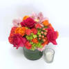Bright, Bold, Sweet! Vibrant, citrus blooms in a modern, compact design. Sure