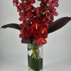 Allow these array of exotic blooms to transport you to the tropical