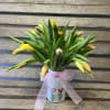 Our choice of the freshest tulips available that day arranged in a