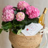 Fluffy Pink Hydrangea Potted Plant, in wicker basket, paired with a non