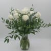 A Classic one dozen Ecuadorian Long Stem White Roses with Ruscus and
