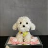 This handcrafted preserved flower puppy is designed using premium white eternal flowers