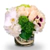 This gorgeous bouquet of white roses and green dihanthus is beautifully presented