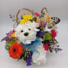 Designed out of white carnations, this puppy is sure to put 