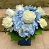 A beautiful blue and white arrangement of flowers designed in a low