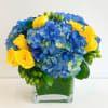 A classic combination of blue hydrangea with yellow roses. Arrangement arrives in
