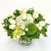 A timeless collection of high end blooms in whites and greens.

Crystal Clear