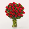 2 dozen beautiful long stem roses in the vase  deluxe 