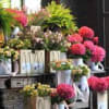 Did someone say hydrangeas, roses, orchids, callas and more in a luxury
