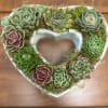 Eight small succulents in a approximately 9" by 9" concrete heart shape