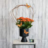 A stunning orange kalanchoe guaranteed to make a statement anywhere! The soft