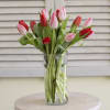 Twenty pretty pink and red tulips. (also available in other colors)
Deluxe 30