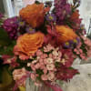 STUNNING COLOR COMBINATIONS OF ORANGE, PINKS, AND PURPLES!! FREE SPIRIT SCENTED ROSES