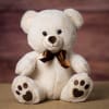 This velvety soft teddy bear is made for hugging.