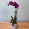 A graceful purple orchid arrangement designed in a sleek ceramic pot &mdash;