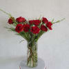 A modern and minimal style of the traditional dozen red roses for