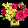 Bright roses and Orchids in lined glass cube.
