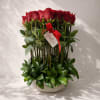 Red Reverence presents premium red roses gracefully arranged with lush, fresh greenery.