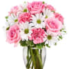 Pink and white flowers bouquet 