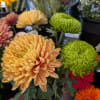 An assortment of 6 Chrysanthemums and other fillers
