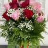 Sing them a love song - with flowers. This lush, loving rose