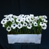 This arrangement is a striking study in simplicity and refinement. A field
