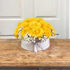 20-22 large yellow rose in hat box 