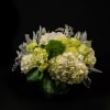 Our classic composition of all green and white flowers typically including hydrangea