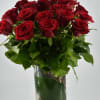 Red Roses will always be a enduring display of affection. These artfully