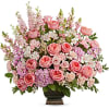 Pink hydrangea, roses, and spray roses, Ivory alstromeria, light pink carnations, pink