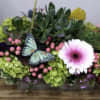 A white gerbera daisy nestles among green succulents, green hydrangeas, and pink