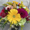 Make a bold statement with burgundy and yellow Gerbera daisies with just