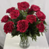 One dozen plush Garden Roses