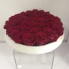 Elegant eternal roses arranged in a white ceramic vase, designed for lasting