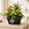 Not only is this box dish garden perfect for adding charming d&eacute;cor