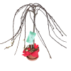 Weeping Pussy Willow Tree, potted.