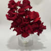 Arrangement of elegant red roses in a round base ideal for all