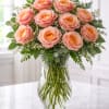 one dozen long stem Free Spirit ( pink/peach) colored roses arranged in