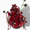 Description:
Romantic, seductive, and Valentine- this arrangement already reads LUXURY LOVE.

Romantic , bold