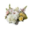 White hydrangea, yellow roses, kale, pink spray rose, pink snapdragons, pink gerbera