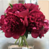 This beautiful arrangement is made up of eight burgundy peonies in a