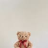 A briwn teddy bear with a red ribbon and heart details &mdash;
