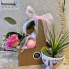 A cardboard gift box with carrying handle contains a single pink or