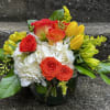 This arrangement has hydrangeas, orange roses, orange spray, roses, yellow tulips, yellow