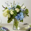 Fill the eight days of Hannukah with the blue and white blooms